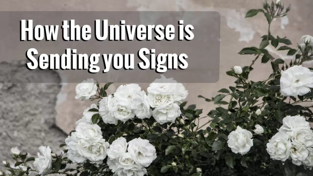 Signs from the universe
