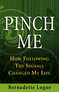 Pinch Me Book