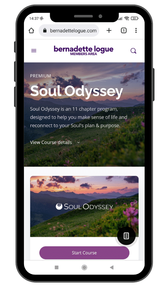 Soul Odyssey Program