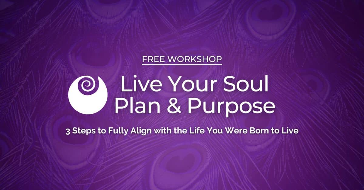 Soul Purpose Free Workshop
