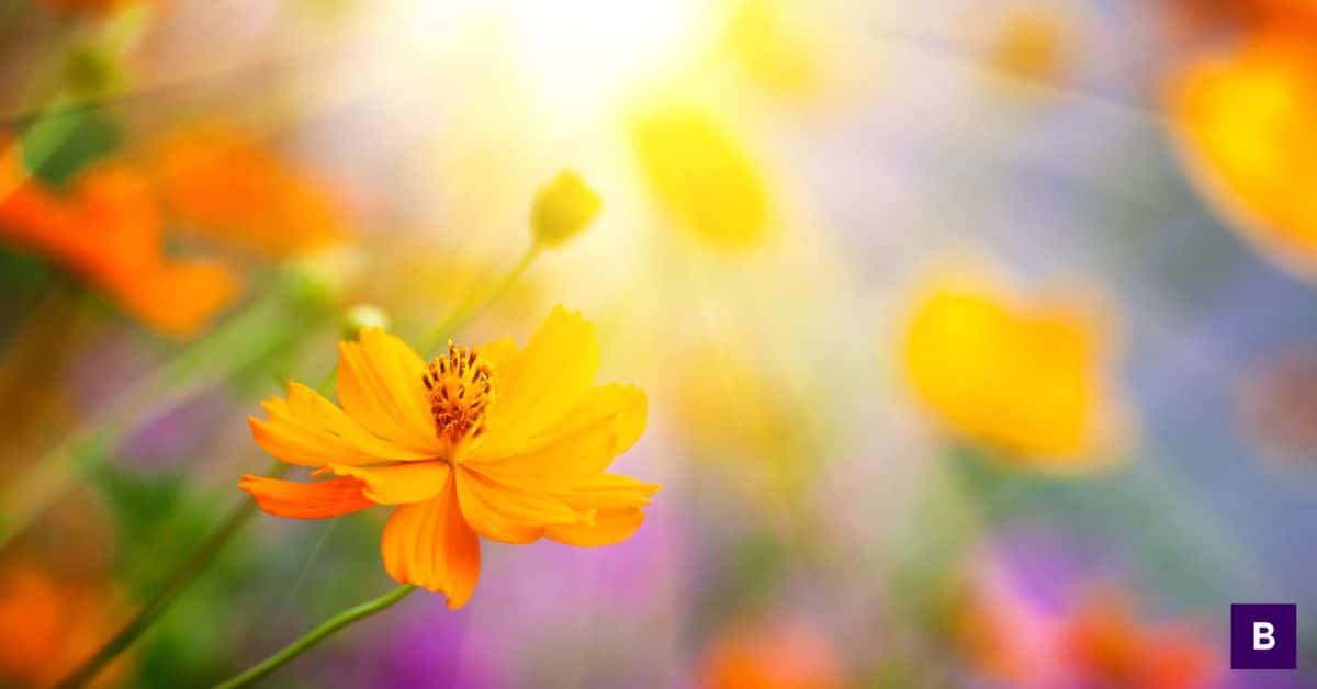 Making Up Your Mind About Your Worthiness