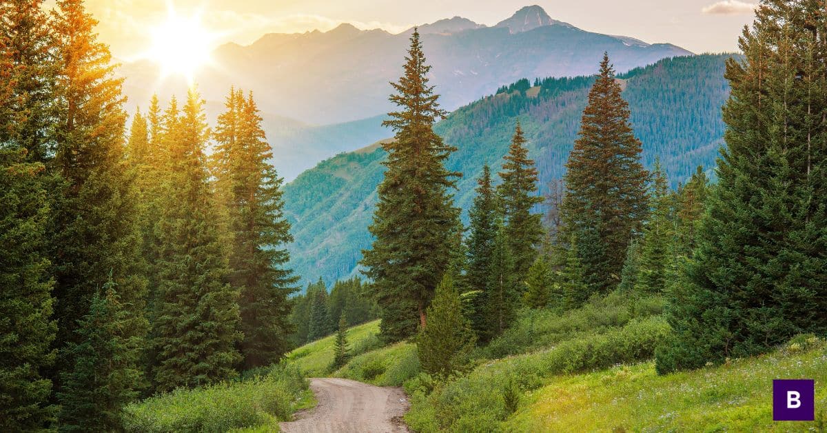 Feels like a failure