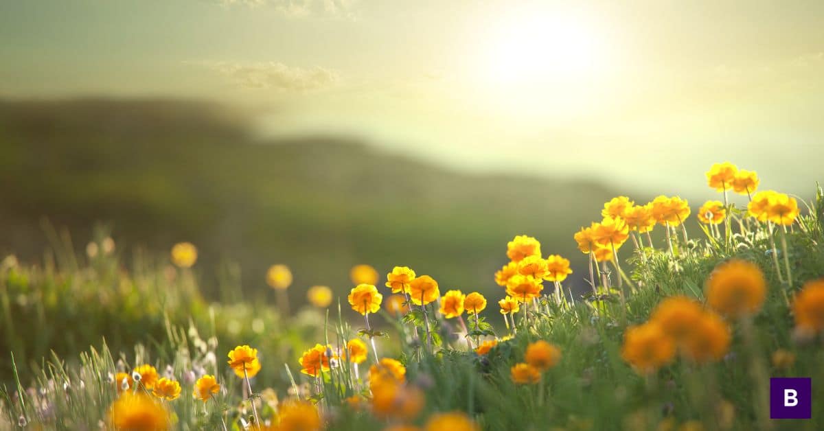 How to Stop Doubting Yourself